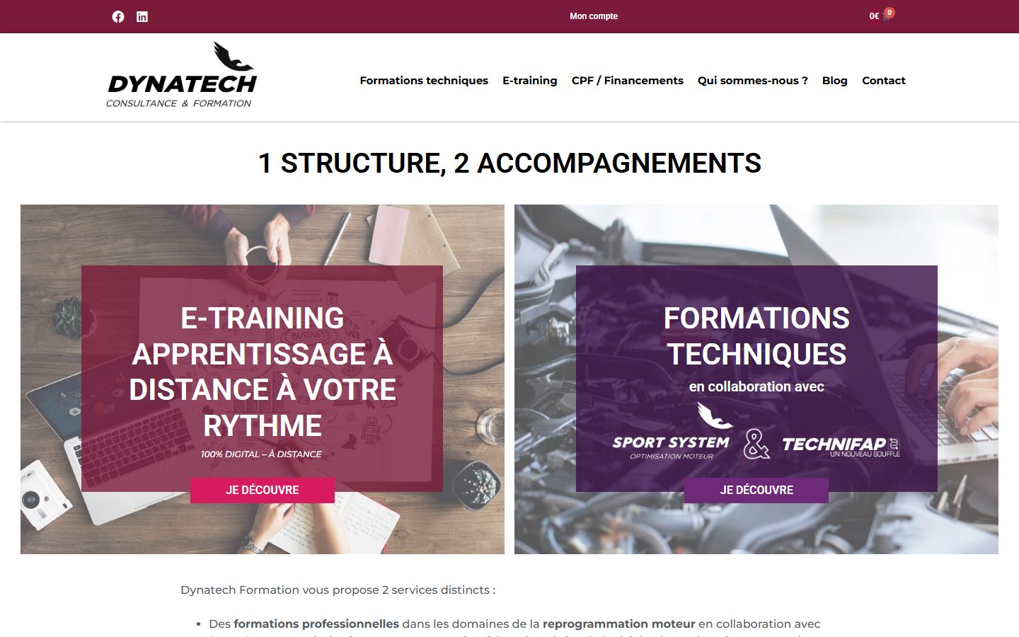 Capture du site Dynatech Formation