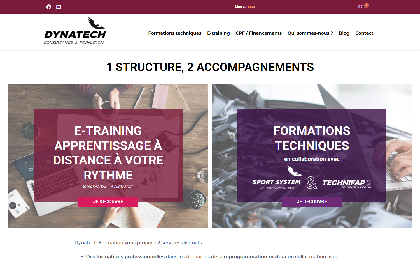 Capture du site Dynatech Formation