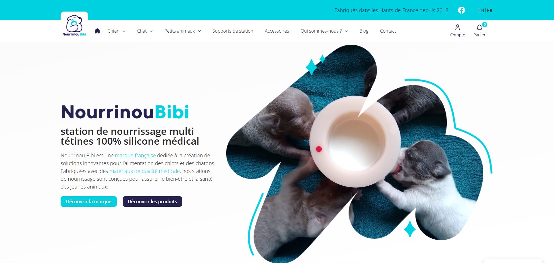 Capture du site Nourrinou Bibi