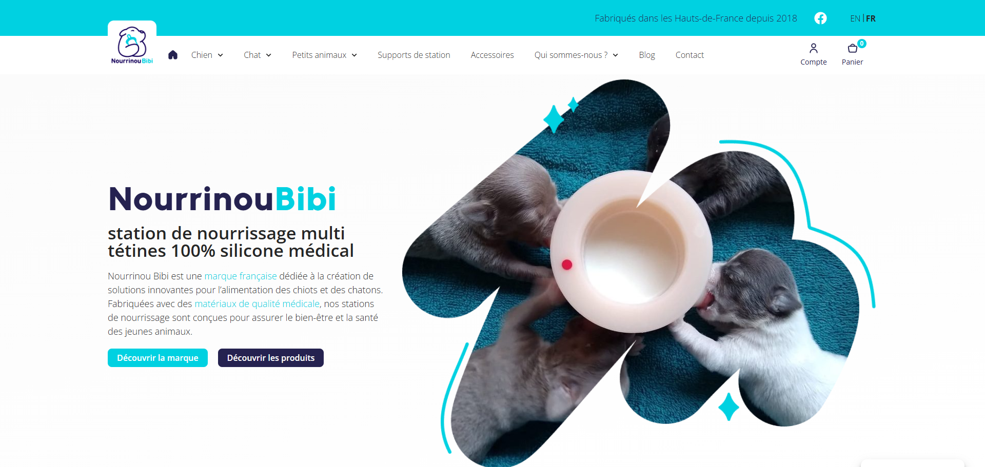 Capture du site Nourrinou Bibi